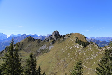 Schynige Platte | Interlaken, Schweiz