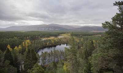 Cairngorms National Park Lake and Forest Landscape