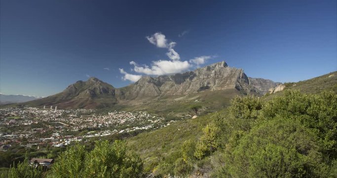 A timelapse of small clouds passing over Table Mountain, with Cape Town City infront of it and fynbos foliage in the foreground.