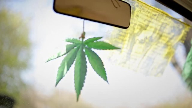 The hippie attribute on the rear-view mirror in the minivan