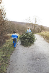 brother and sister are pulling out an old christmas tree for knut
