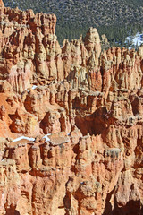 Bryce Canyon National Park, Utah