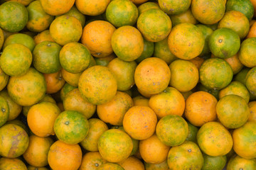 Havest of Orang fruits ,background gourmet