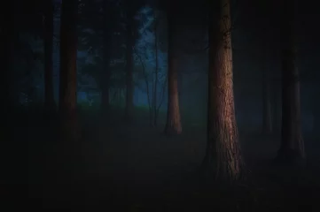  dark forest © mimadeo