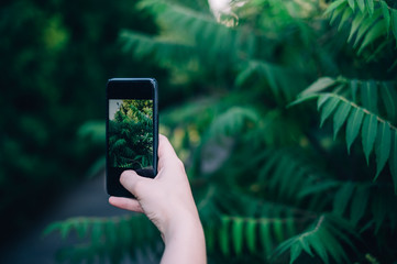 Woman makes photo of nature on a mobile phone
