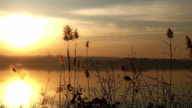 Luci del lago di Annone al tramonto