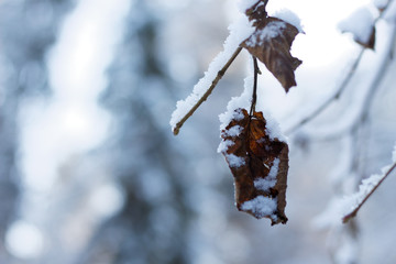 spacer po Wiśle i okolicach