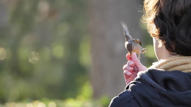 Pajaros comiendo de la mano en El Retiro (Madrid)