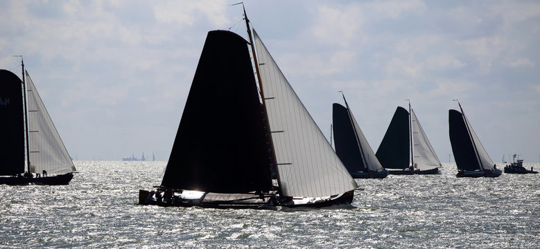 Traditional Frisian wooden sailing ships in a yearly competition on the Ijsselmeer, The Netherlands