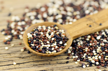 Mixed quinoa (Chenopodium quinoa) seed.