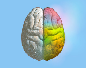 Left and right colorful brain illustration on blue BG