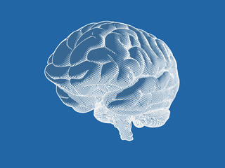 Engraving negative brain in perspective view on blue BG