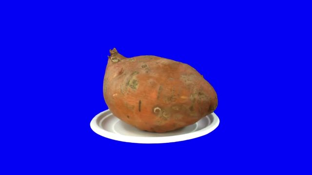 Rotating seamless looping batatas vegetable on a plate isolated on blue chroma keyed background.
