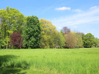 Obraz premium Wiese im Herbst vom Park von Schloss Dyck in Jüchen