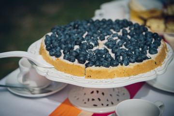 leckere Blaubeertorte im Freien