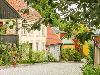 Damstredet, residential area of Oslo with old wooden houses. Landmark of Oslo, Norway capital © Arndale