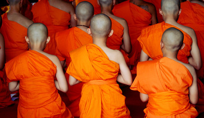 back view rows of buddhism novices in the thai temple,religion