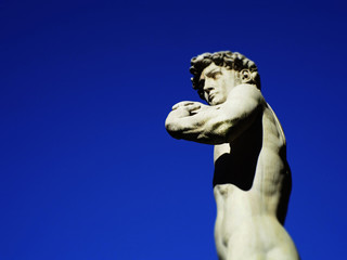 Italia, Toscana, Firenze, Piazza della Signoria,copia del David di Michelangelo.