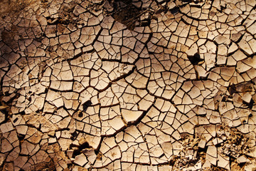 Dry ground background