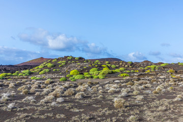 volcanic landscape in timanfaya national park, Lanzarote