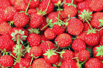 fresh strawberries texture