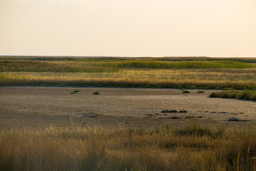 Fototapeta na wymiar View on the Sivash lake, Ukraine