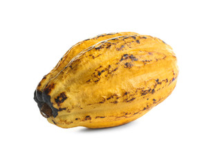 Ripe yellow cocoa pod on white background