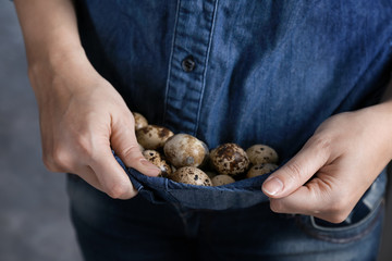 Woman holding quail eggs in shirt, closeup