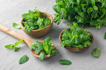 Fresh lemon balm on grey background