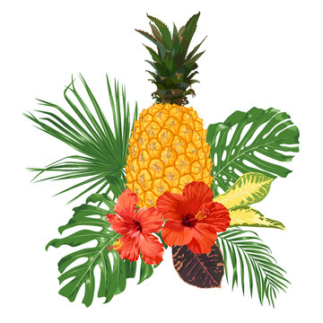 Pineapple, hibiscus flowers and tropical leaves. 