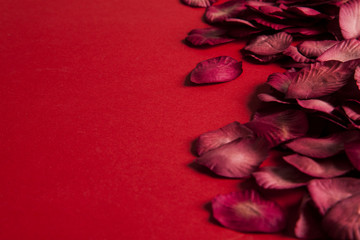 Red rose petals on a red background. Romantic valentines day background