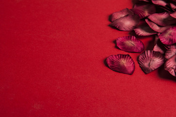 Red rose petals on a red background. Romantic valentines day background