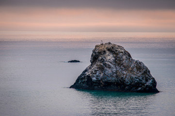 LARGE ROCK IN Pacific Ocean WITH BIRDS AND PINK SKY Northern California 