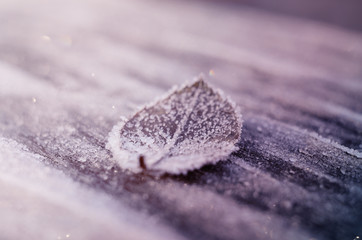 Wooden texture in the hoar frost. Winter seasonal background.