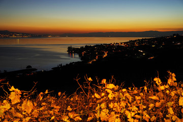 Obraz premium Sunset light over the vineyard terraces of Lavaux wine region (UNESCO World Heritage Site since 2007) overlooking the northern shores of Lake Geneva, Canton of Vaud, Switzerland