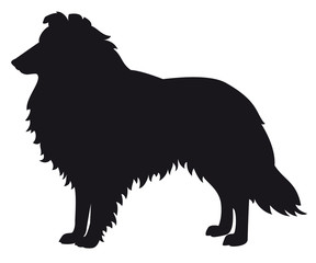 Collie Herding Dog - Vector black dog silhouette isolated - obrazy, fototapety, plakaty