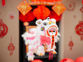 Chinese new year decorating lion dance with "zhao cai jin bao" means ""wishing more wealth will coming in"