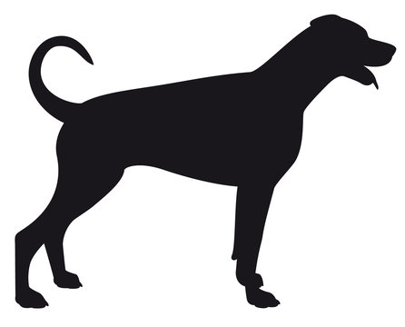 Doberman Uncropped - Vector black dog silhouette isolated