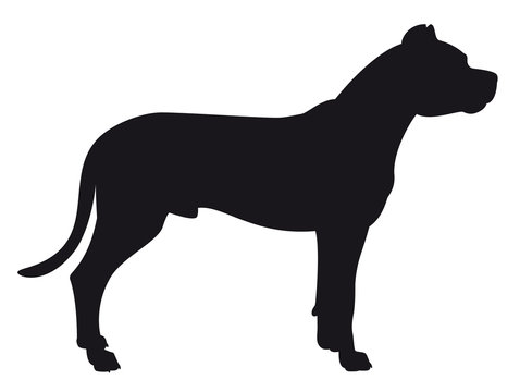 Dogo Argentino - Vector black dog silhouette isolated