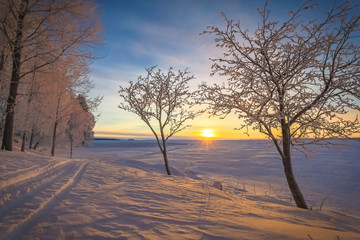 Winter landscape from Sotkamo, Finland.