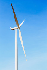 Wind turbine field for electricity generation.