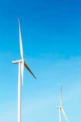 Wind turbine field for electricity generation.