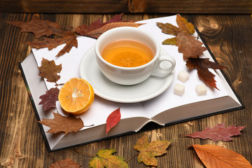 English tea time and reading evening concept. Cup of tea