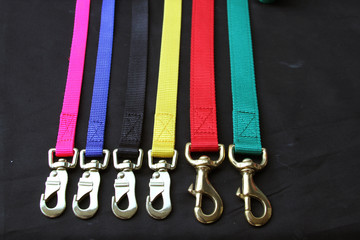 Pet supplies about leash for dog and brass hook on black background.