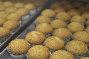 Fresh hot baked bread loafs.