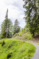 Scuol, Wanderweg, Flurinaweg, Engadin, Unterengadin, Panoramaweg, Wanderferien, Alpen, Schweizer Berge, Graubünden, Sommer, Schweiz