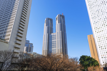 Obraz premium Biuro władz metropolitalnych w Tokio jesienią