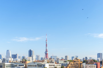 Fototapeta premium Tokyo Tower