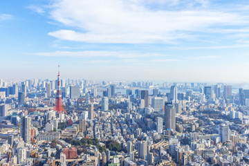 Fototapeta na wymiar 東京タワーと都心の街並み