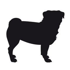 Pug dog standing-  Vector black dog silhouette isolated